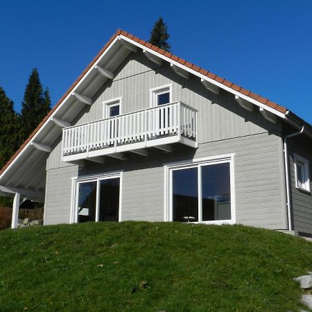 Chalet Myrtille Gérardmer Εξωτερικό φωτογραφία